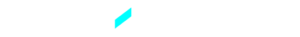 Exim Indis logo