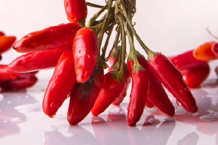Capsaicin